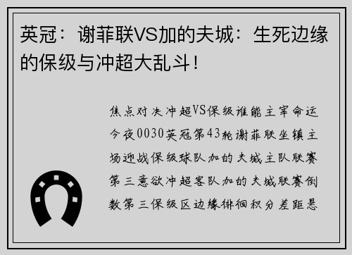 英冠：谢菲联VS加的夫城：生死边缘的保级与冲超大乱斗！